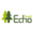 ECHO FOREST